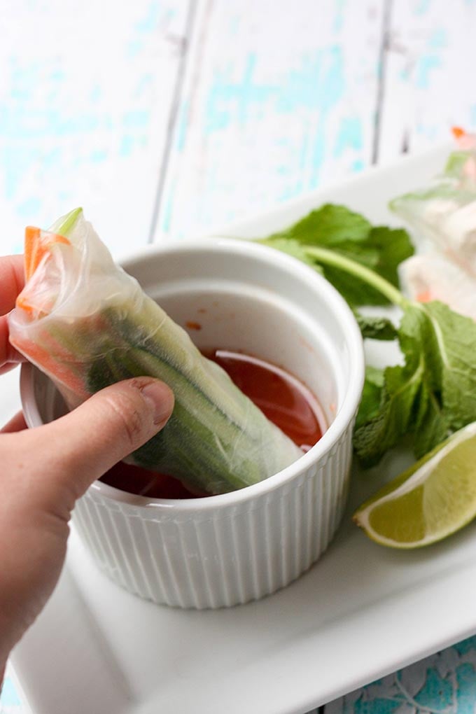 shredded chicken spring rolls (+ a to die for dipping sauce!) are the perfect summer appetizer for a dinner or lunch! super fresh & super easy to whip up!!