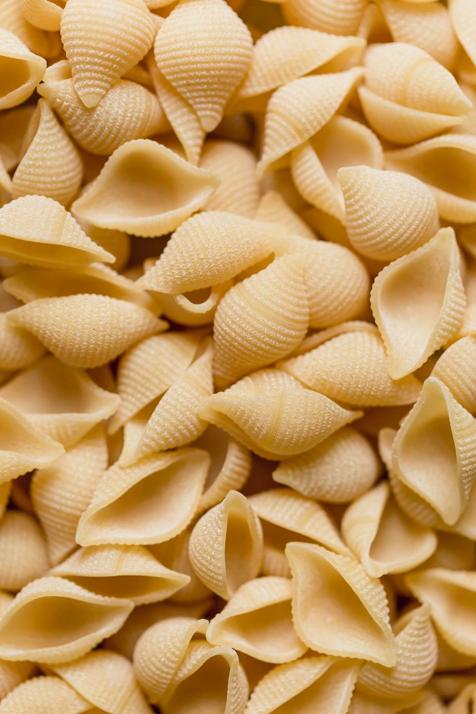 Close-up photo of DeLallo shells.