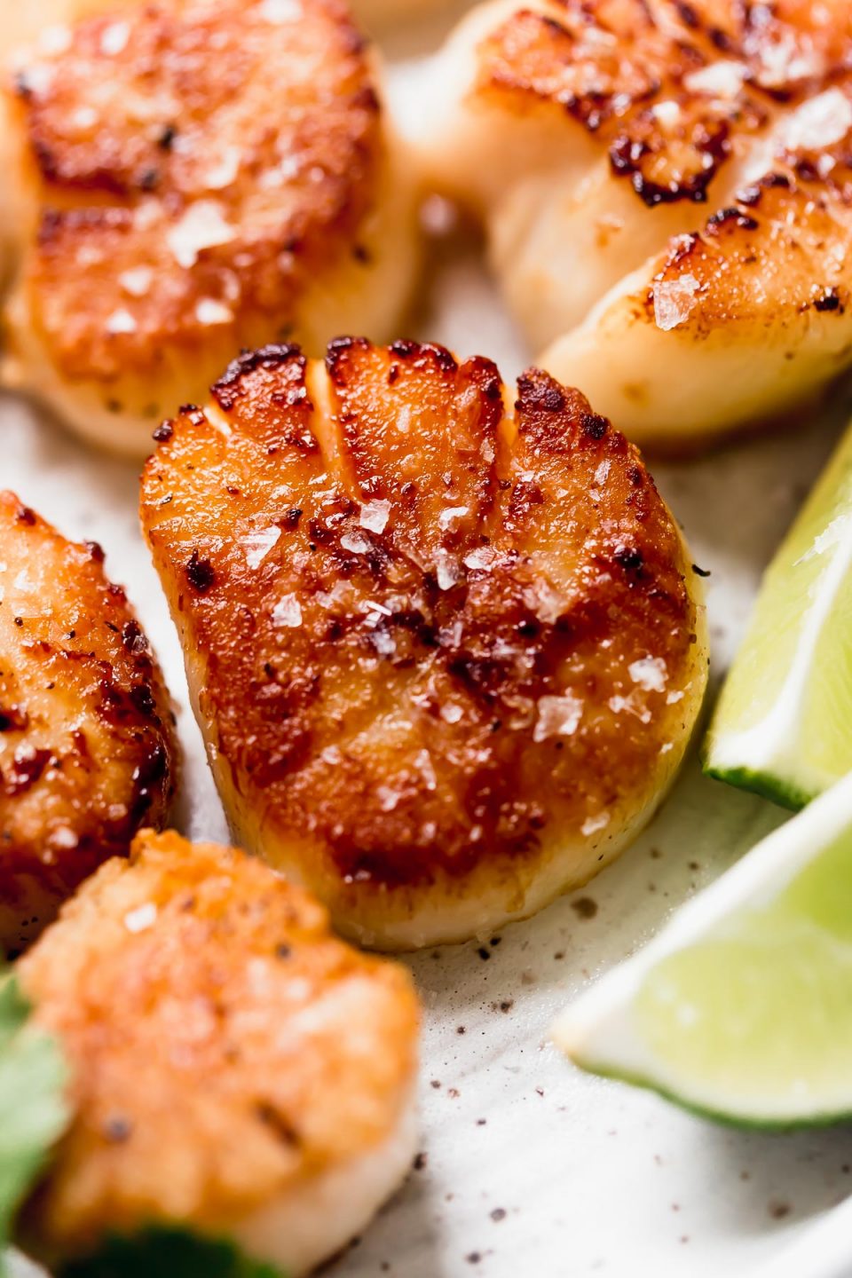 Seared scallop on a small white plate, ready to be served with coconut rice & mango salsa.