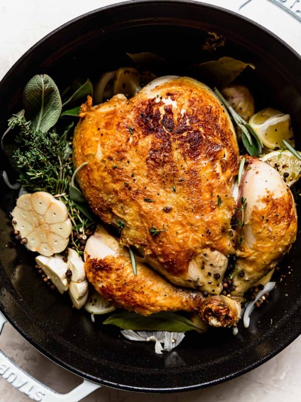 Close up of browned whole chicken in a large white Dutch oven with soup aromatics before roasting.