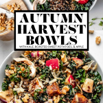 Autumn Harvest Bowls with graphic text overlay for Pinterest.