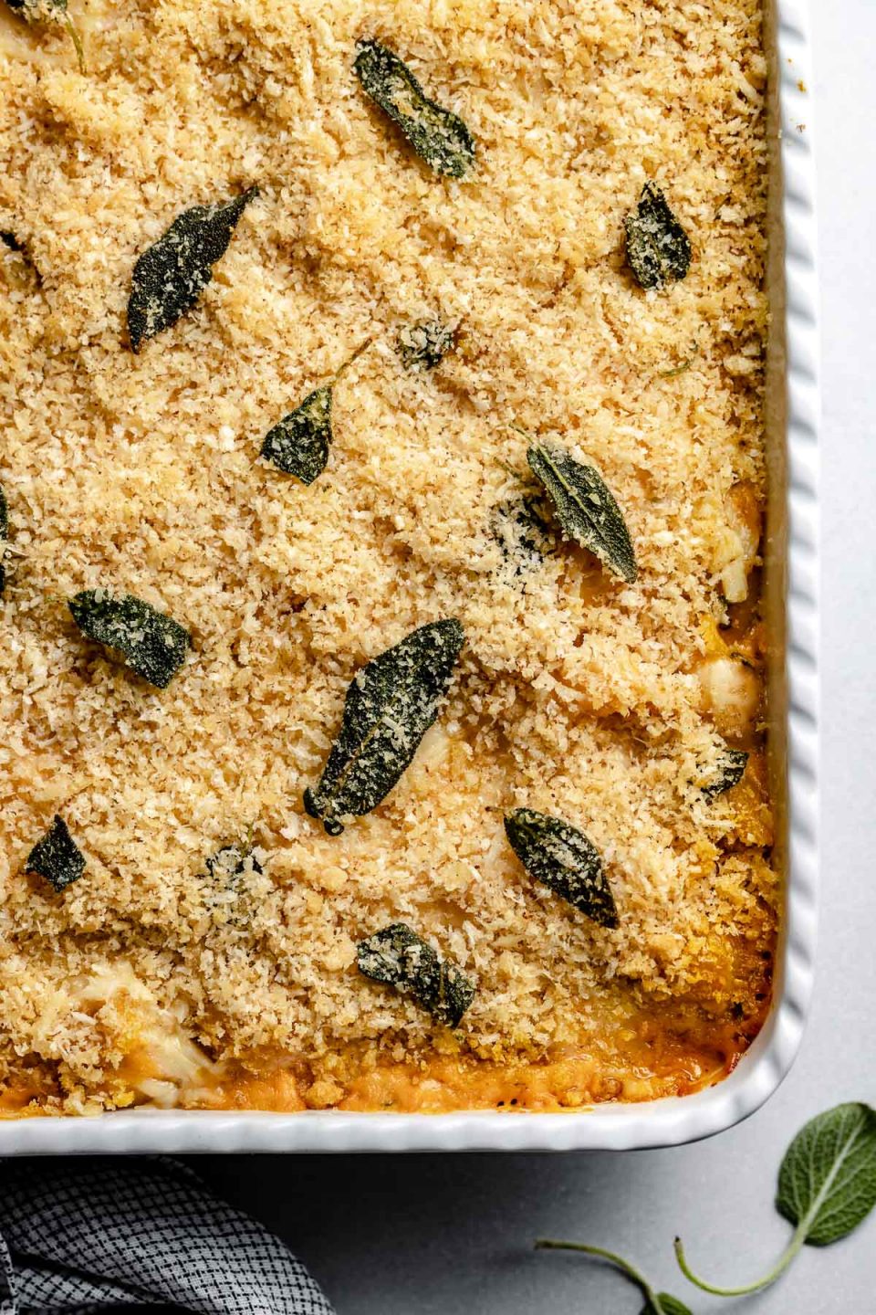 Pumpkin Mac & Cheese topped with Brown Butter Sage Breadcrumbs in a large white baking dish.
