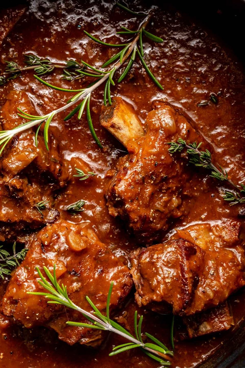A close up of braised beef short ribs in a red wine braising sauce. The finished short ribs have been garnished with sprigs of fresh thyme and fresh rosemary.