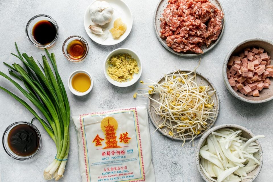 Hawaiian-style pork chow fun ingredients arranged on a light blue surface: green onions, yellow onions, fresh ginger, garlic, ground pork, diced spam, fresh rice noodles, bean sprouts, oyster sauce, sesame oil, soy sauce, and avocado oil.