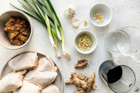 Shoyu chicken ingredients on a white surface: brown sugar, green onions, ginger, garlic, water, shoyu, & bone-in, skin-on chicken thighs.