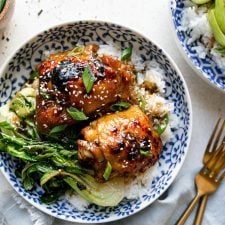 https://playswellwithbutter.com/wp-content/uploads/2021/04/Shoyu-Chicken-8-225x225.jpg