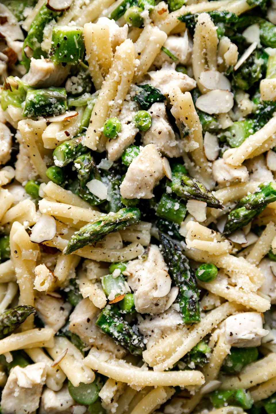 Close up of chicken asparagus pasta.