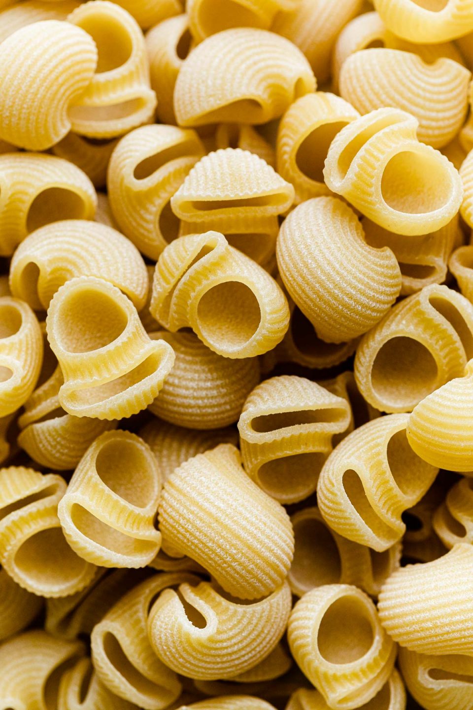 A close up shot of DeLallo Foods Shellbow pasta.