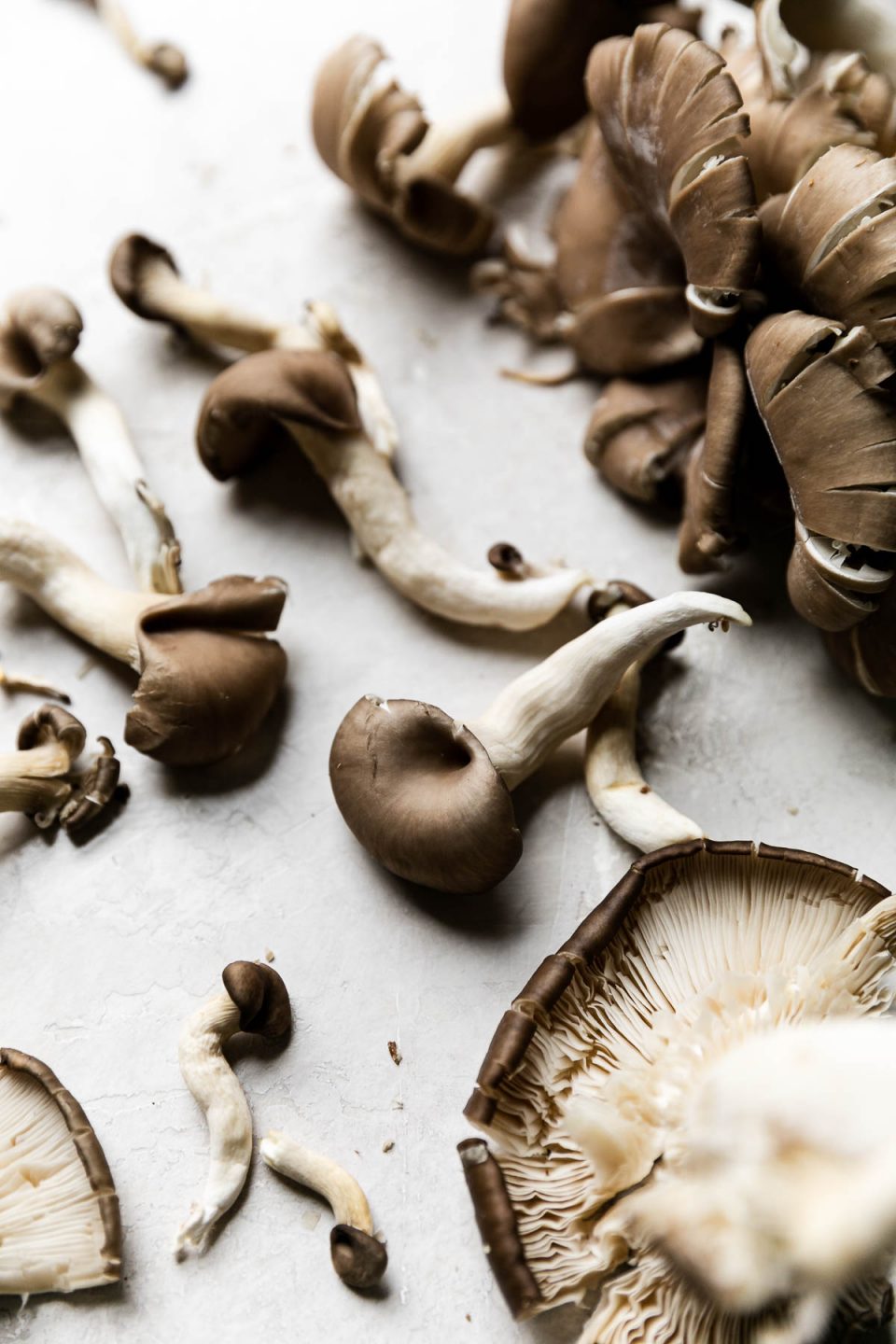 A close up shot of wild mushrooms arranged on a creamy white textured surface.