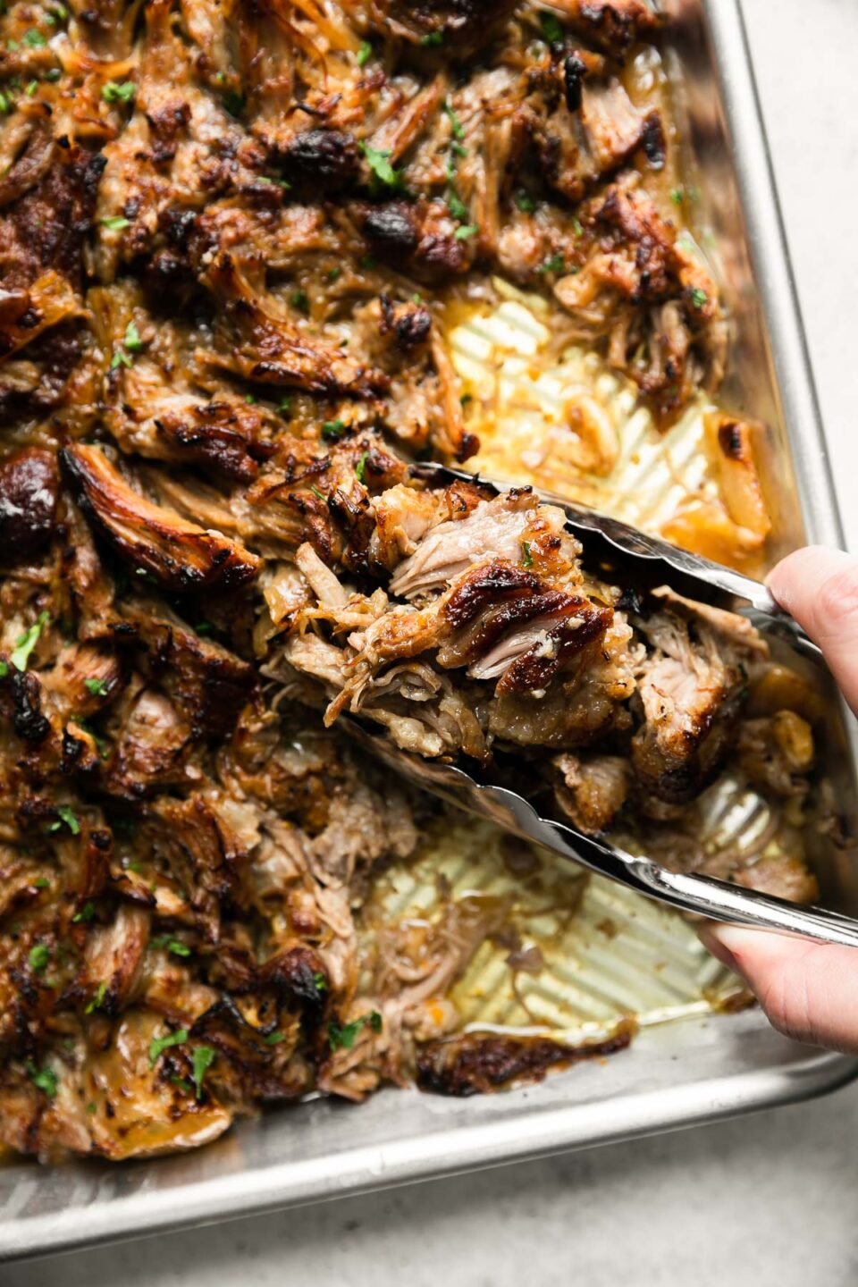 Cooked & shredded pork carnitas arranged on an aluminum baking sheet & broiled until golden brown with crisped edges. A woman's hand holds a pair of tongs & uses the tongs to scoop up some of the finished carnitas off of the baking sheet. The baking sheet sits atop a creamy white textured surface and the beer braised carnitas have been garnished with fresh cilantro.