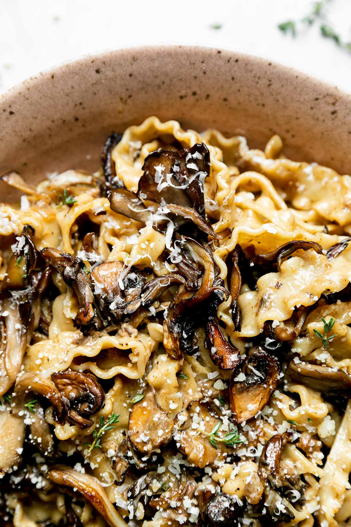 A serving of wild mushroom ragu pasta fills a brown speckled ceramic bowl. The pasta has been garnished with freshly grated parmesan and herbs. The bowl sits atop a creamy white textured surface with a few loose sprigs of fresh herbs sprinkled alongside.