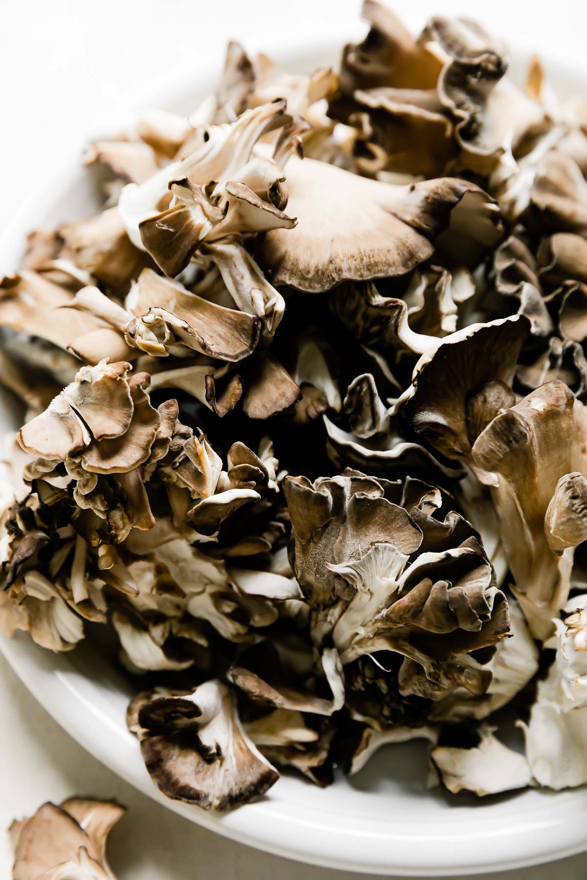 Torn maitake mushrooms are piled atop a white ceramic plate that sits atop a creamy white textured surface.