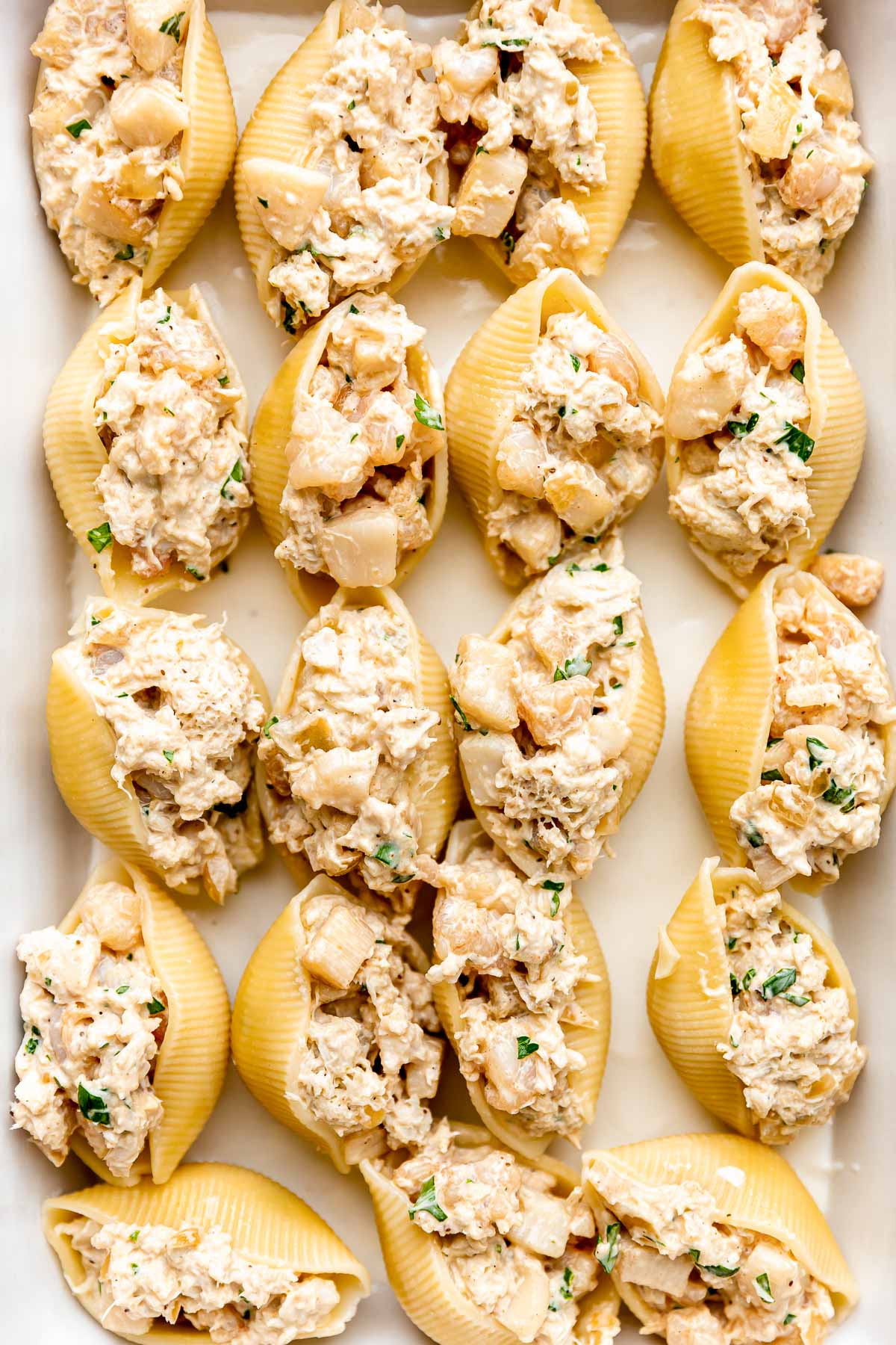 Assembled seafood stuffed shells fill a baking dish atop a layer of seafood béchamel sauce. The stuffed seafood shells have been positioned such that the seafood is facing upwards.