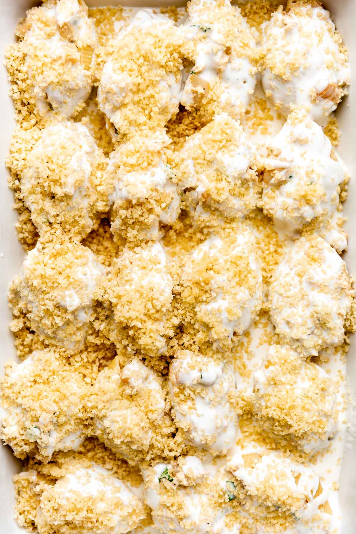 Assembled seafood stuffed shells fill a baking dish atop a layer of seafood béchamel sauce. The stuffed seafood shells have been covered in more seafood béchamel sauce and breadcrumbs.