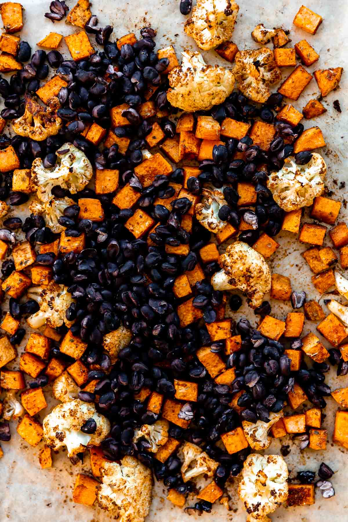 A close up shot of seasoned and roasted cauliflower florets and diced sweet potato for roasted veggie tacos are arranged atop a parchment lined baking sheet. Drained black beans are added to the sheet pan.