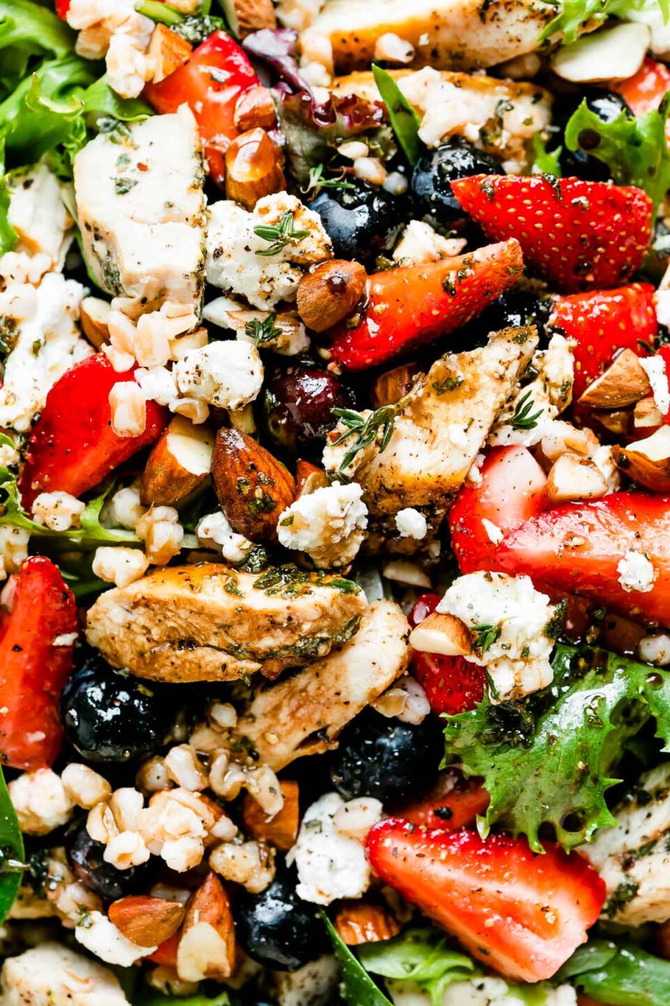 An up-close macro shot of the strawberry chicken salad: greens, strawberries, chicken, almonds, goat cheese and vinaigrette.