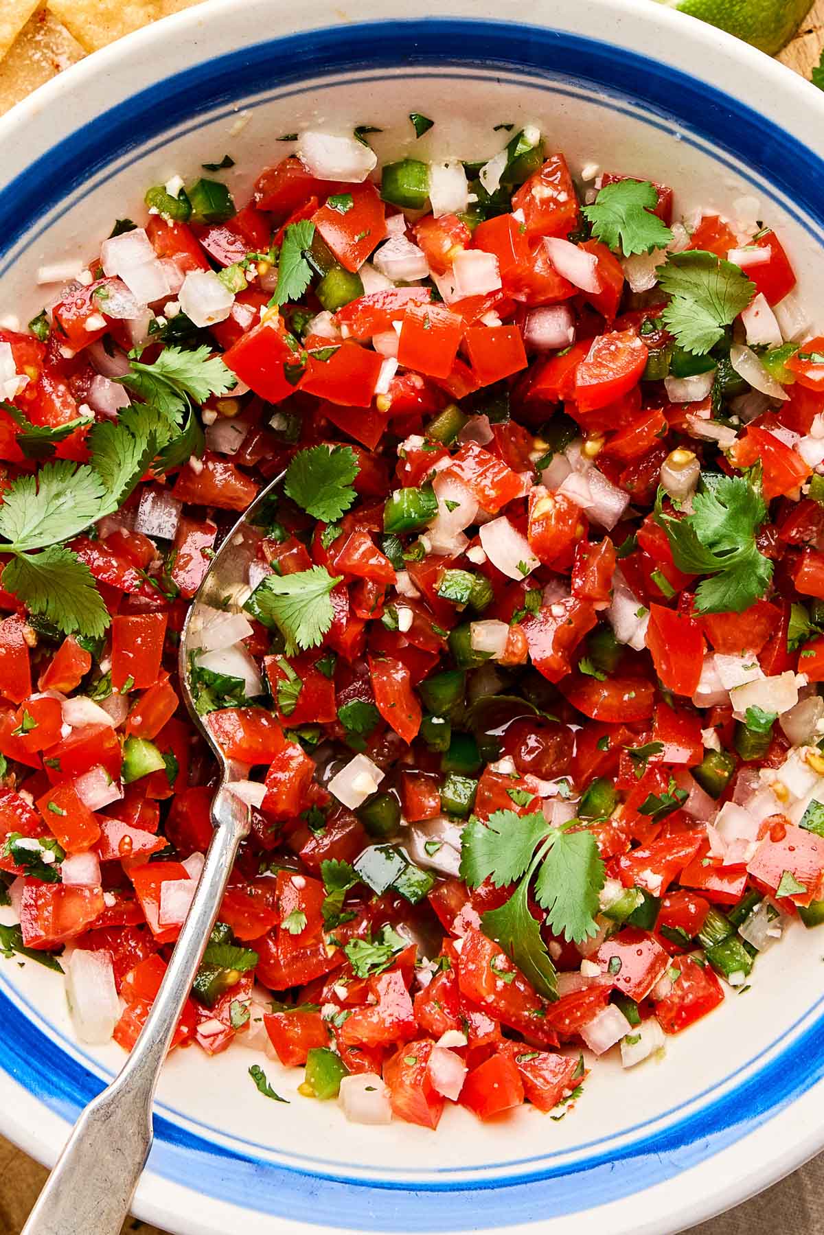 A close-up overhead shot of fresh tomato salsa with a spoon in a white bowl with a blue rim.