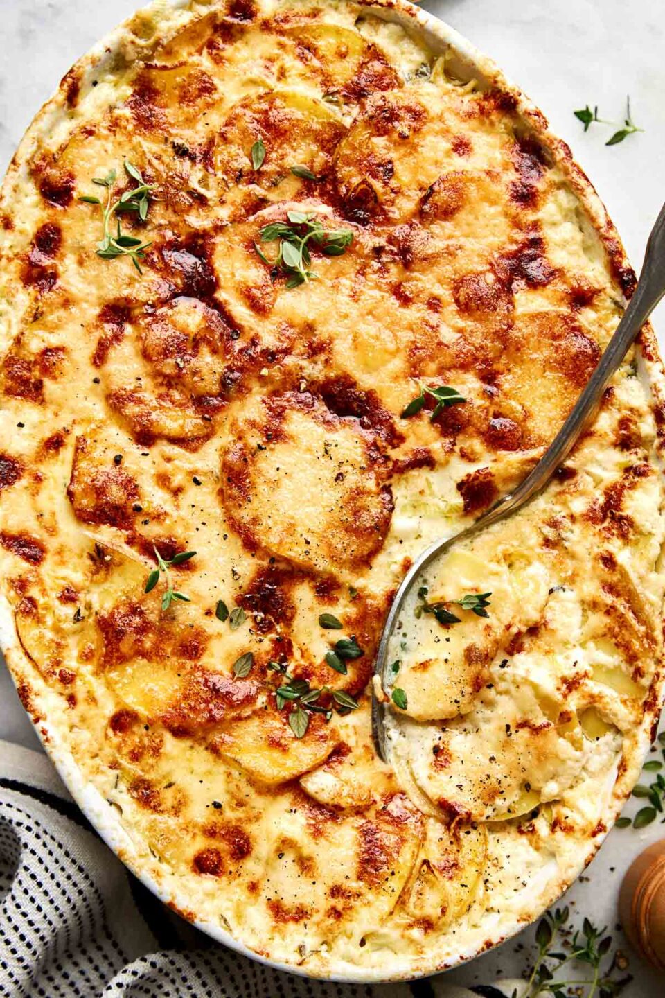 A creamy potato gratin in an oval baking dish, topped with melted cheese and fresh herbs, with a serving spoon scooping out a portion.