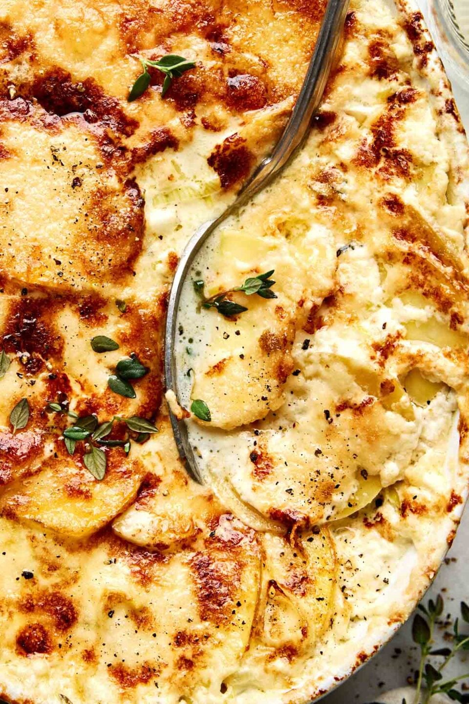 A metal serving spoon lifting a portion of cheesy potatoes garnished with fresh thyme.